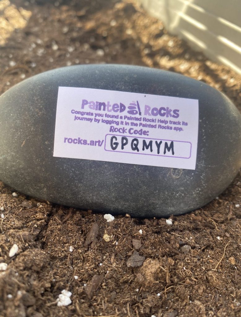 Image of grey rock in dirt with purple and pink painted rocks app label with code on back that reads GPQMYM