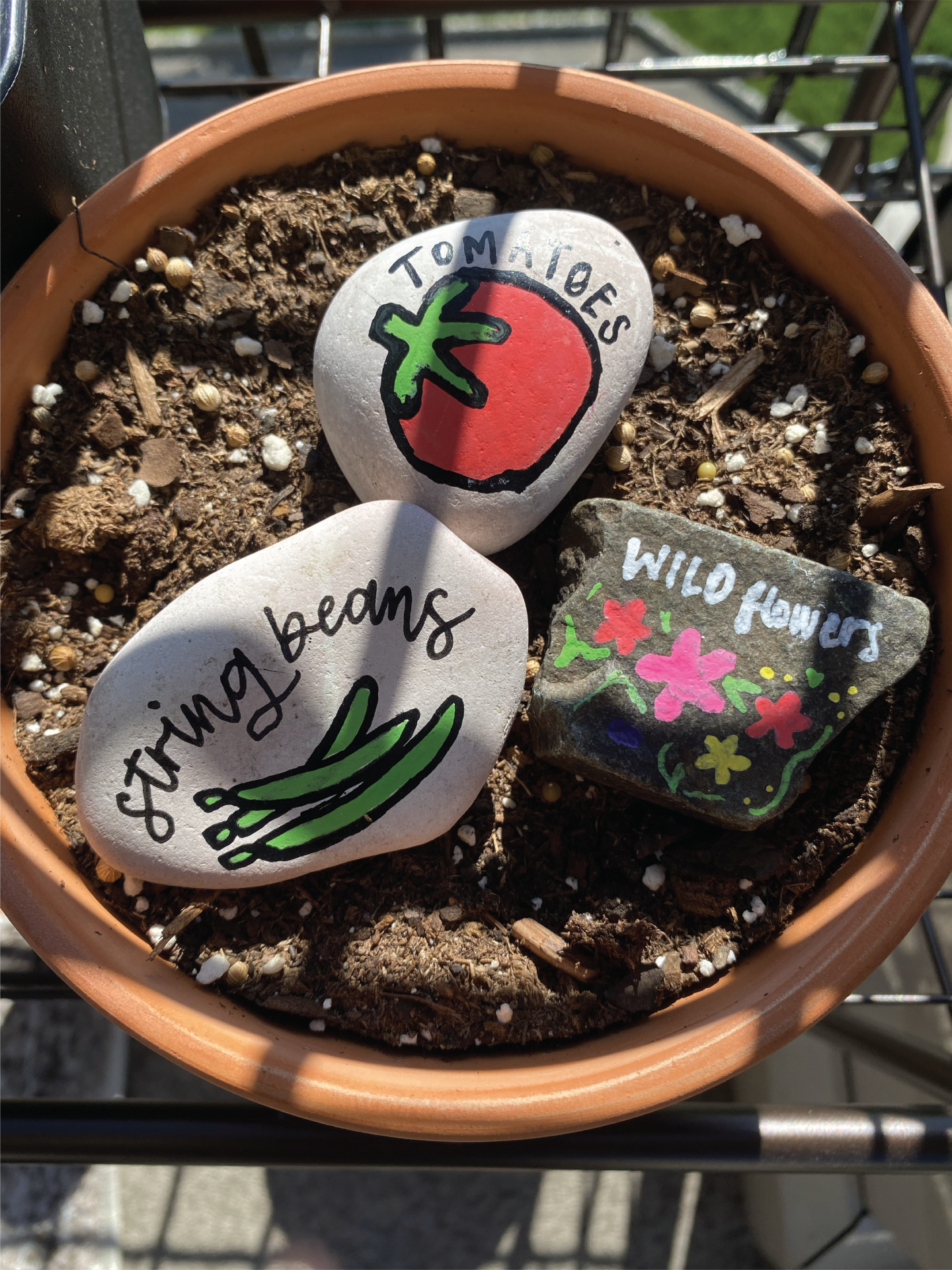 three painted rocks in a planter that say string beans, tomatoes, and wild flowers